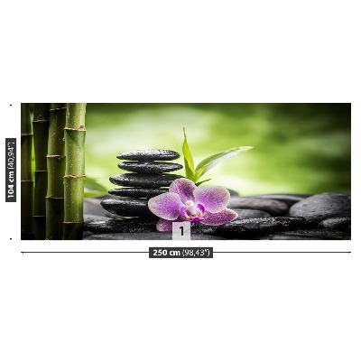 Fototapeta Orchidej zen