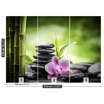 Fototapeta Orchidej zen