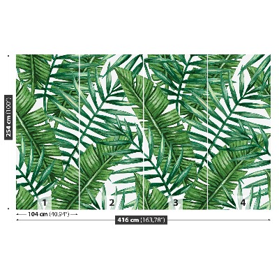 Fototapeta palmové listy