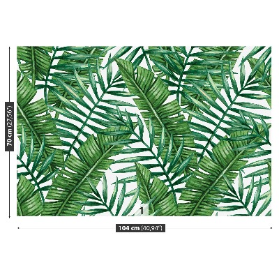 Fototapeta palmové listy