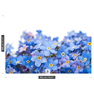 Fototapeta pomněnky