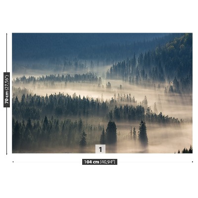 Fototapeta Lesní hory