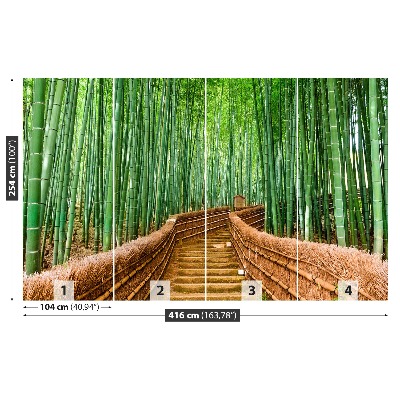 Fototapeta Bambusové lesy