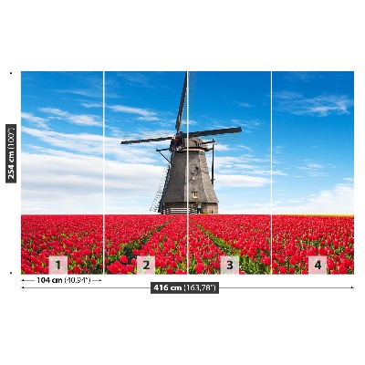 Fototapeta Větrný mlýn tulipány