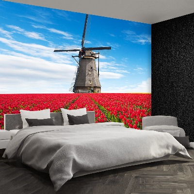 Fototapeta Větrný mlýn tulipány