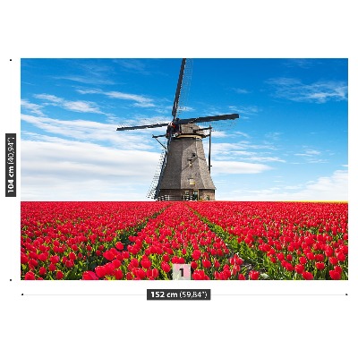 Fototapeta Větrný mlýn tulipány