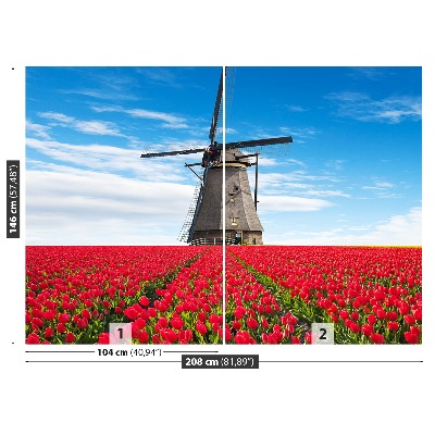 Fototapeta Větrný mlýn tulipány