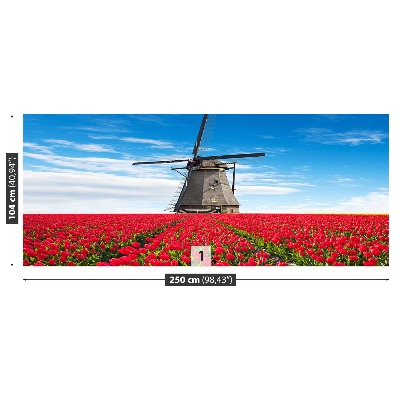 Fototapeta Větrný mlýn tulipány