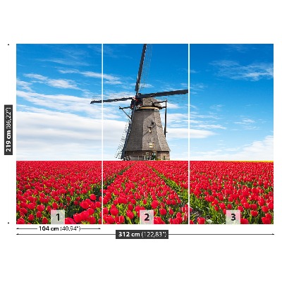 Fototapeta Větrný mlýn tulipány