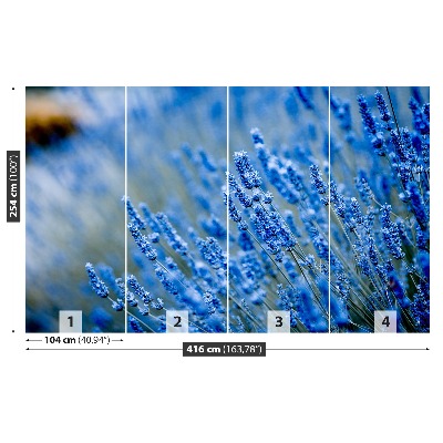 Fototapeta Modrá levandule