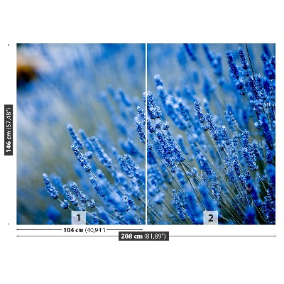 Fototapeta Modrá levandule