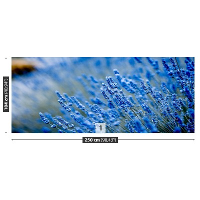 Fototapeta Modrá levandule
