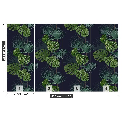 Fototapeta Monstera děravá