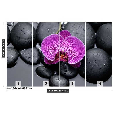 Fototapeta Orchidejové kameny