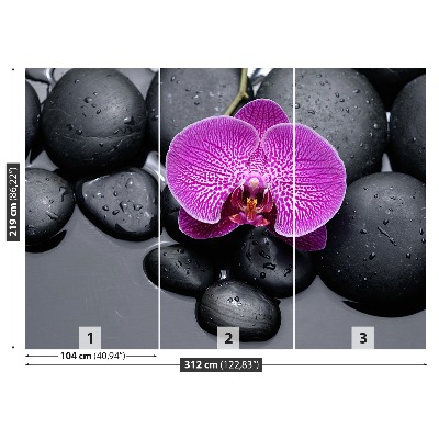 Fototapeta Orchidejové kameny