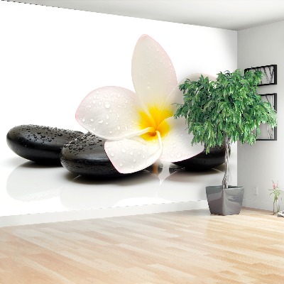 Fototapeta Plumeria Stones