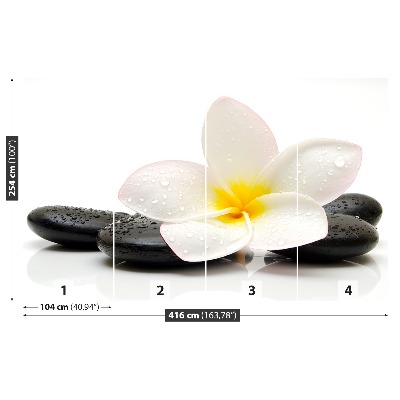 Fototapeta Plumeria Stones