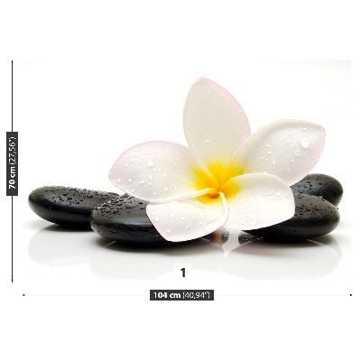 Fototapeta Plumeria Stones