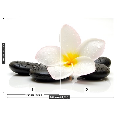 Fototapeta Plumeria Stones