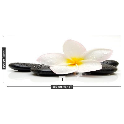 Fototapeta Plumeria Stones