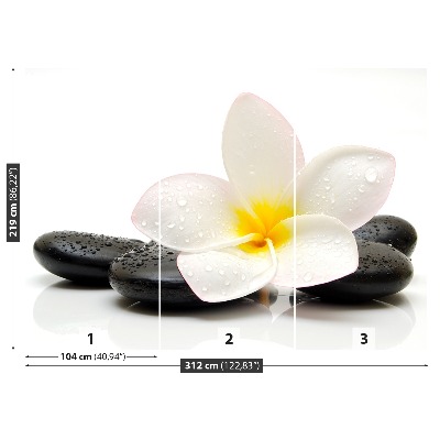 Fototapeta Plumeria Stones