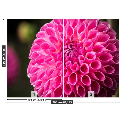 Fototapeta Dahlia Pink