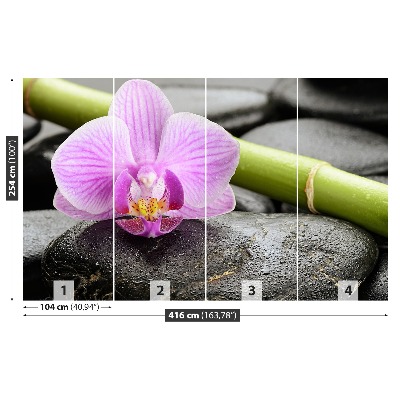 Fototapeta Orchidejové kameny