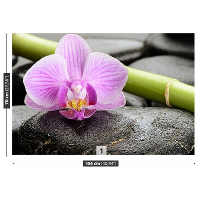 Fototapeta Orchidejové kameny