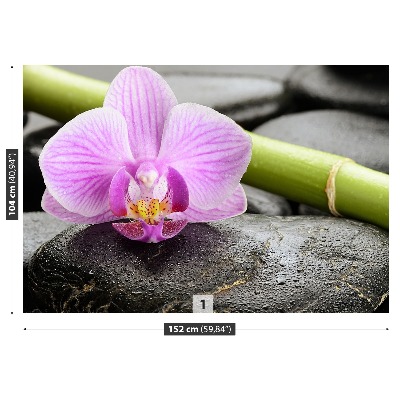 Fototapeta Orchidejové kameny