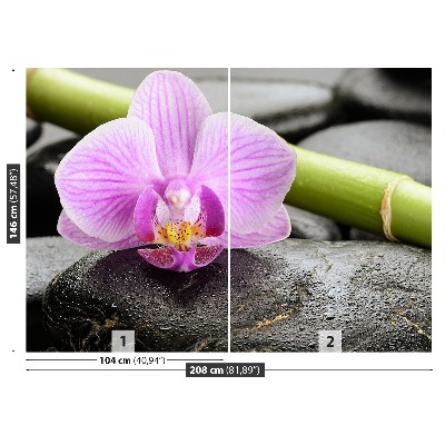 Fototapeta Orchidejové kameny