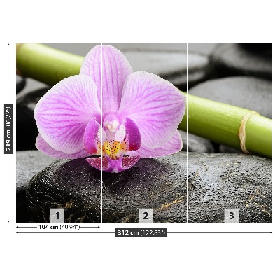 Fototapeta Orchidejové kameny