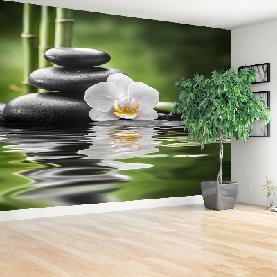Fototapeta Orchidej a Zen