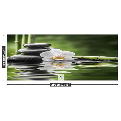 Fototapeta Orchidej a Zen