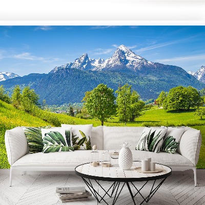 Fototapeta Letní Alpy