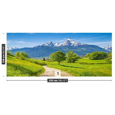 Fototapeta Letní Alpy