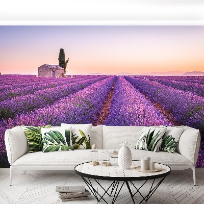 Fototapeta Provence levandule
