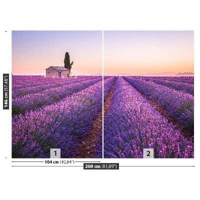 Fototapeta Provence levandule