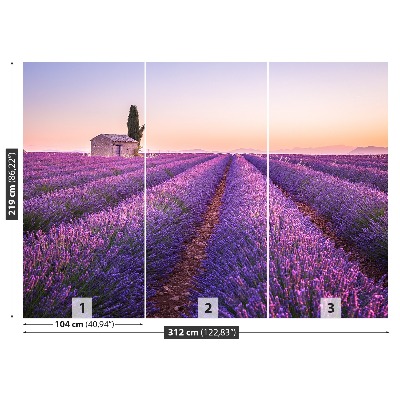 Fototapeta Provence levandule