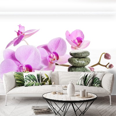 Fototapeta Lázně Orchidej
