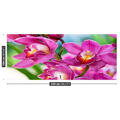 Fototapeta Růžové orchideje