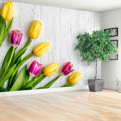 Fototapeta žluté tulipány