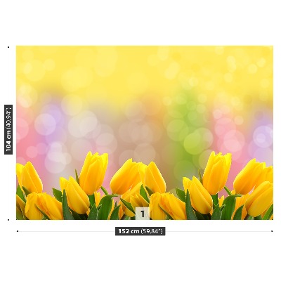 Fototapeta Žluté tulipány