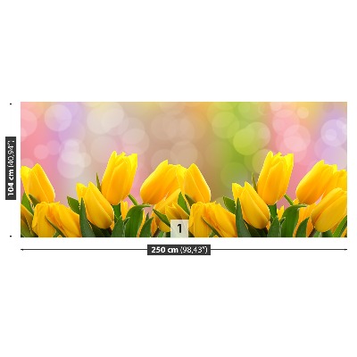 Fototapeta Žluté tulipány