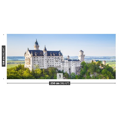 Fototapeta Neuschwanstein