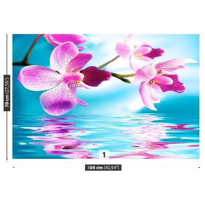 Fototapeta Voda orchidej