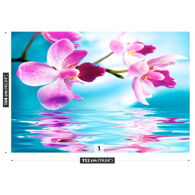 Fototapeta Voda orchidej