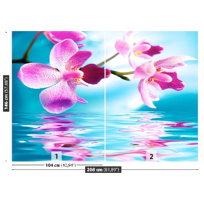 Fototapeta Voda orchidej