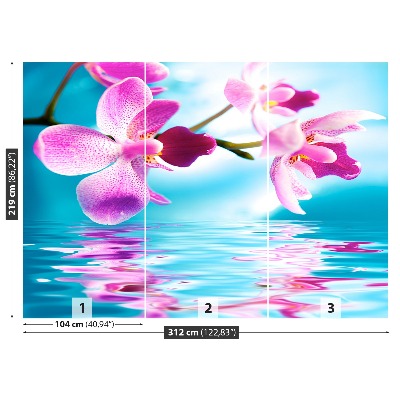 Fototapeta Voda orchidej