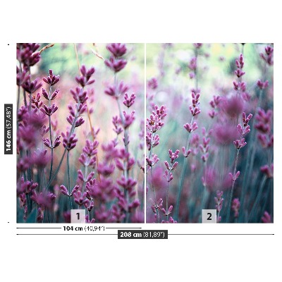 Fototapeta Levandulová zelená