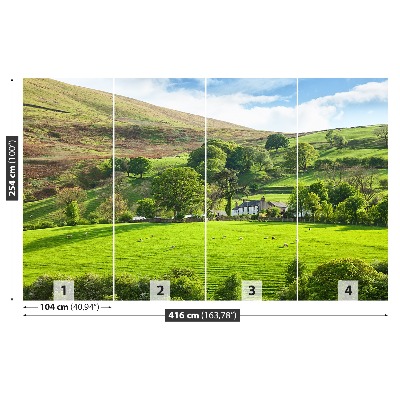 Fototapeta Jarní Cumbria